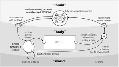 Embodiment enables non-predictive ways of coping with self-caused sensory stimuli